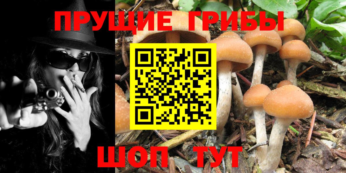 Галлюциногенные грибы мицелий  Вход с VPN  Лесной 